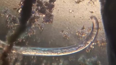 10 signs you have a demon