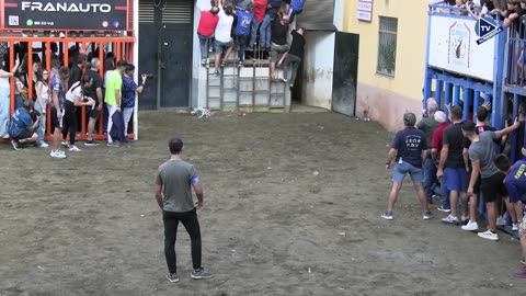 3 TORO TARDE 4oct AFRANJADO ganadería ZALDUENDO FESTES DE ROSER 2025