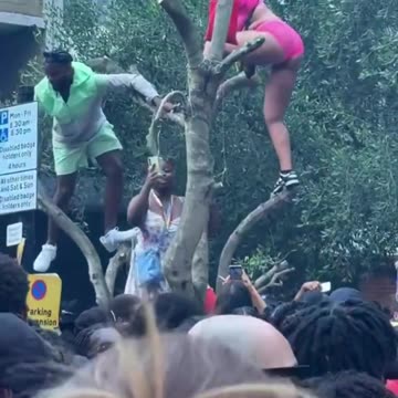 Africans climb trees and twerk