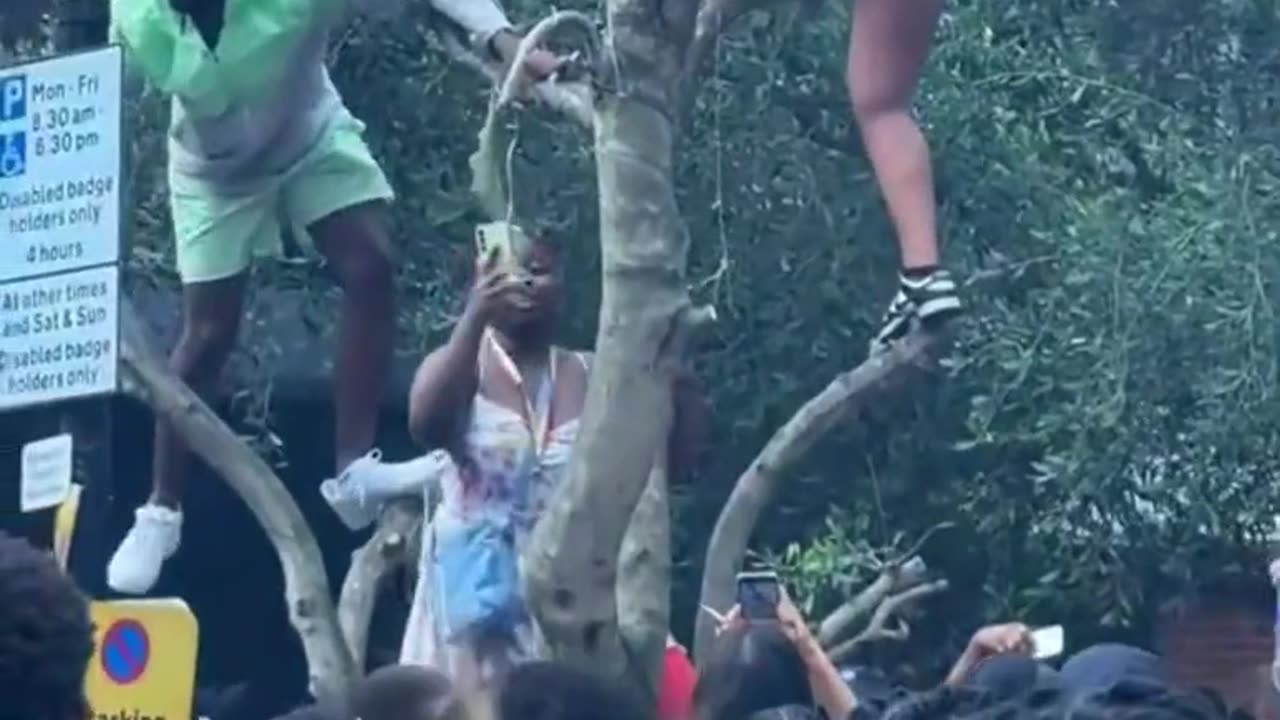 Africans climb trees and twerk