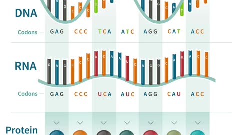 #9 of the Top 10 reasons to consider Christianity and the existence of God: DNA #apologetics #god #truth