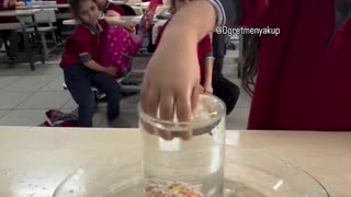 300 IQ