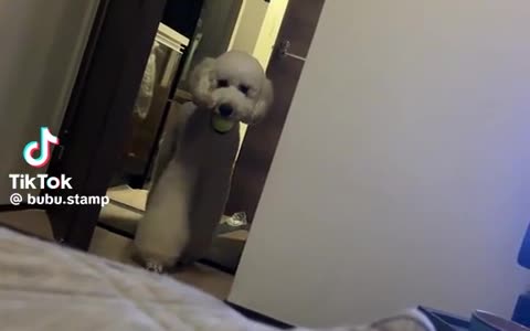 😱👹 It's a Skinwalker! You Won't Believe This Encounter! | TheHauntingHour