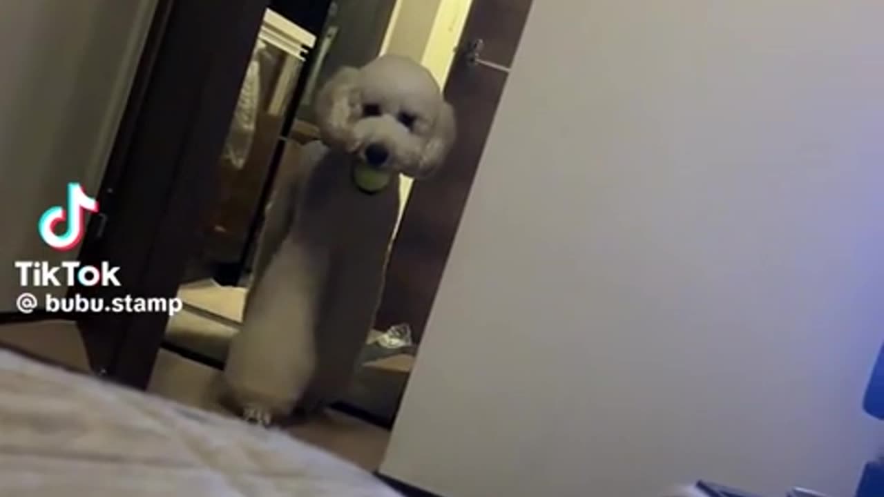😱👹 It's a Skinwalker! You Won't Believe This Encounter! | TheHauntingHour