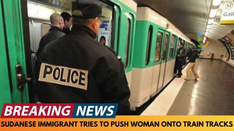 BREAKING NEWS_ SUDANESE ILLEGAL IMMIGRANT ATTEMPTS TO PUSH WOMAN OFF TRAIN PLATFORM