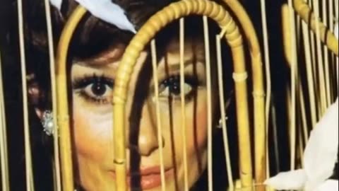 Rothschild Surreal Ball 1972