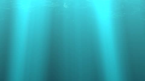 New Year Rally with Earl Dano - Dec 28 -2025 - with - Klaus Saari