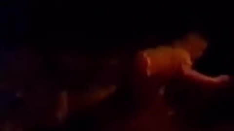 David Allan Coe asking Hank Williams Jr about Charlie Daniels band pulling the plug on him.