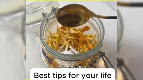 You Will LAUGH SO HARD At These Funny Human and Animal Fails! 😂 (Viral Moments)