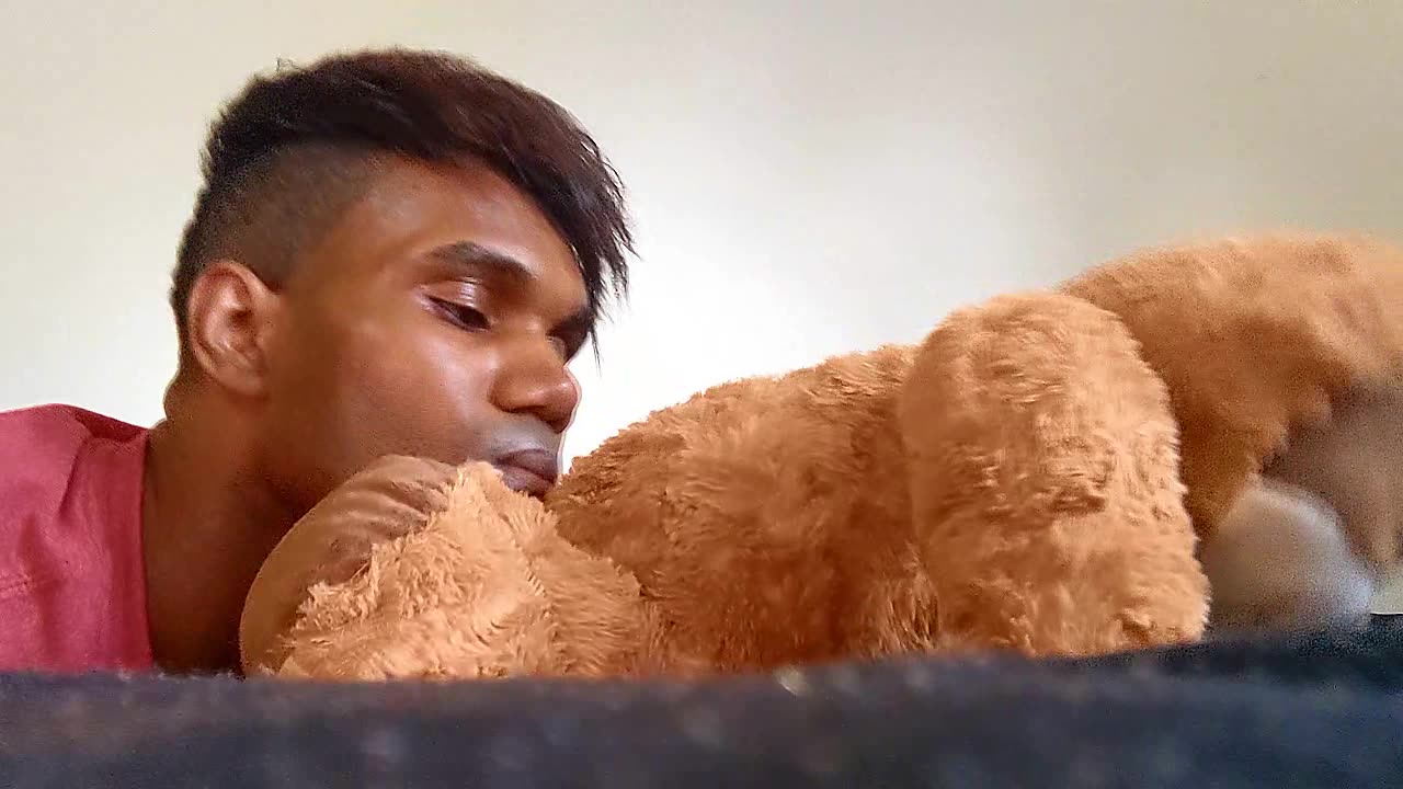 TEDDY BEAR