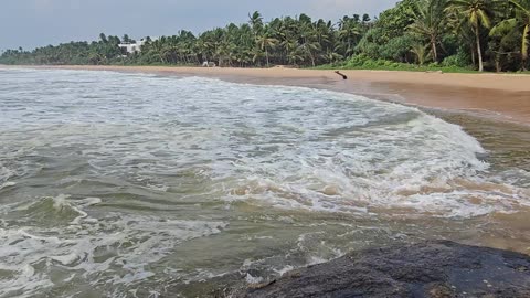 "Whispers of the Deep: Tales from the Ocean's Heart" (Sri Lanka Beach)