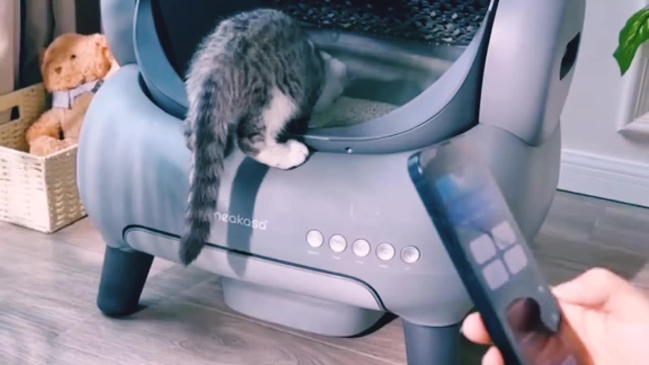 The Ultimate Smart Cat Litter Box 2025 🐱 | Self-Cleaning, Pet Friendly & No Maintenance Solution