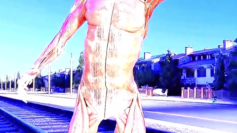 Drunk Man Sleep On The Train Tracks 🛤️ #shorts #shortvideo #facts