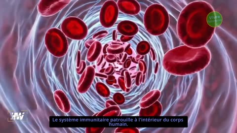 L'empoisonnement électromagnétique