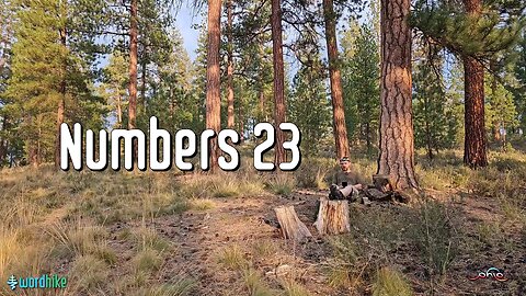 Numbers 23, Bible Reading in Nature, BSB