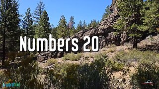 Numbers 20, Bible Reading in Nature, BSB