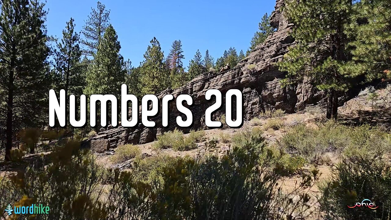 Numbers 20, Bible Reading in Nature, BSB