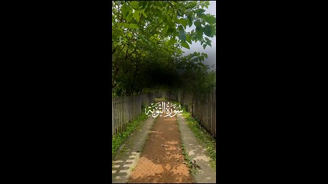 🔥Surah At-Tawbah 9:109 سورة التوبة ⚡🕌 #Quran #shorts #viral #love #youtubeshorts #trending #short