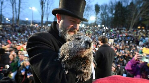 PETA Offers To Replace Punxsutawney Phil With Vegan 'Weather Reveal' Cake