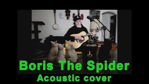 Boris The Spider - The Who - Acoustic cover