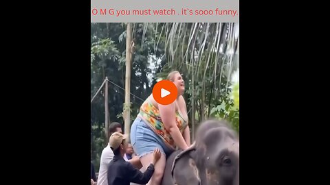 🤔 Is This Real or Fake?! 😱 | You Won’t Believe Your Eyes 👀