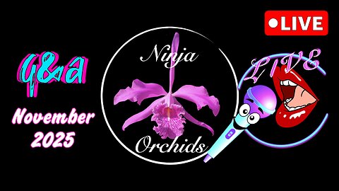 Monthly Q&A November '25 Comments Review Orchid Diverse Topics #ninjaorchids Hang Out #ninjaorchids