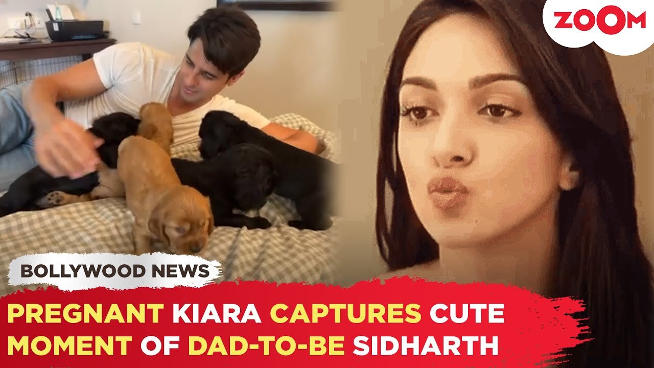 Parents-to-Be Sidharth Malhotra & Kiara Advani enjoy ADORABLE playtime with puppies in VIRAL video