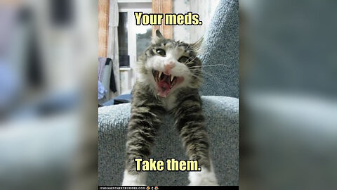 Guys shes available even comes with a years supply of Chlorpromazine