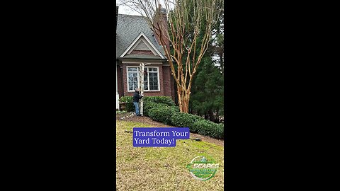 Tree Care: Transformation in Progress