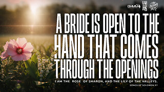 A BRIDE IS OPEN TO THE HAND THAT COMES THROUGH THE OPENINGS | HOMECOMING | DAG HEWARD-MILLS 2025