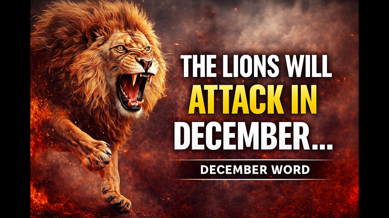 The Lions Will Attack In December - December Prophetic Word #december #prophetic #attack
