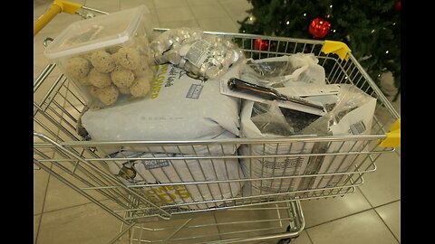 Nu blev fåglarna glada