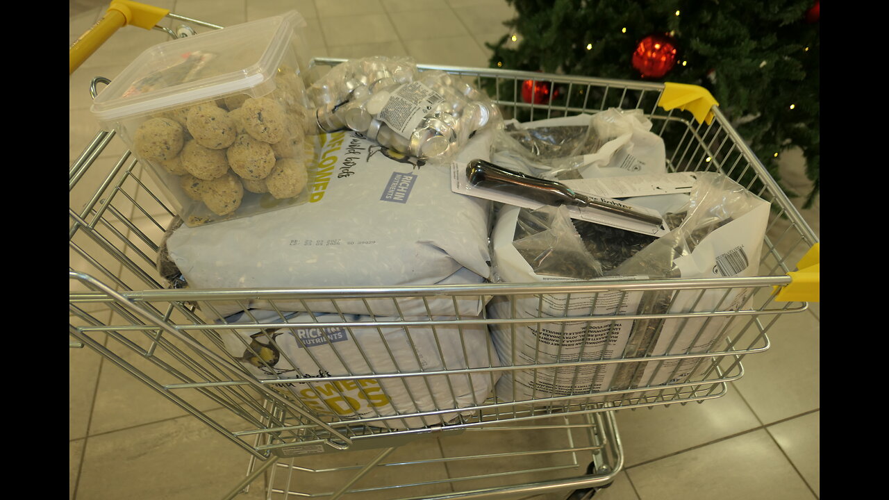 Nu blev fåglarna glada