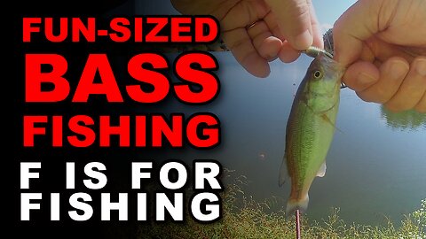 Fun Sized Bass Fishing