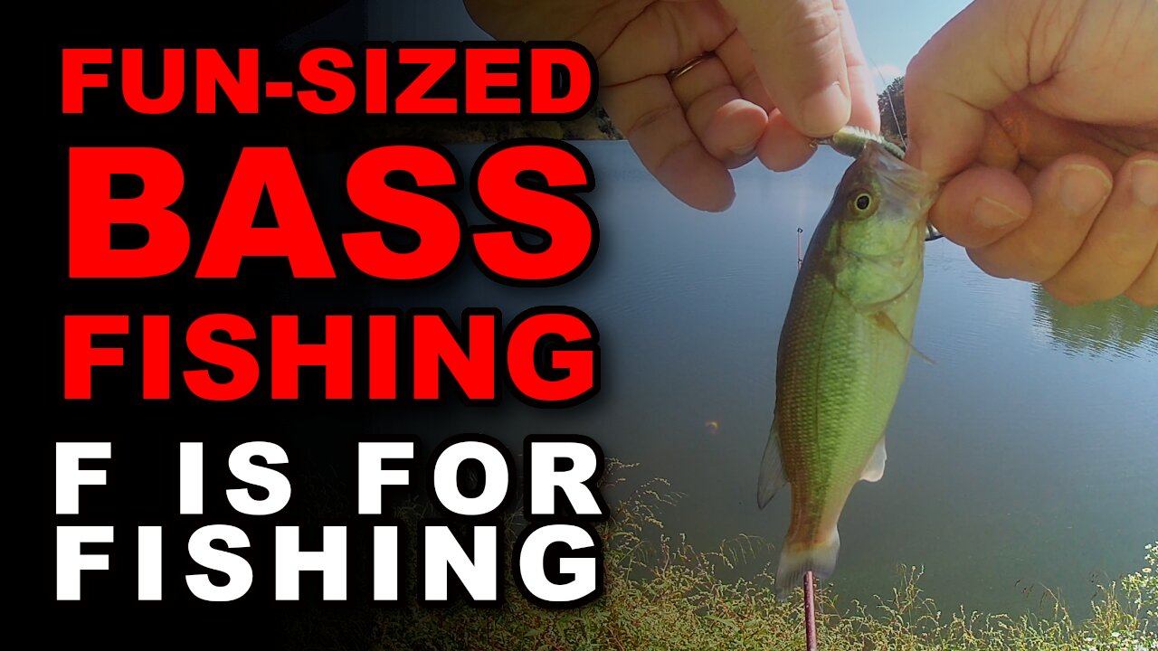 Fun Sized Bass Fishing