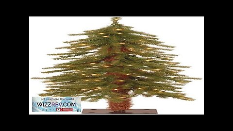 National Tree Company Pre-lit Artificial Christmas Tree Includes Pre-strung White Lights Review