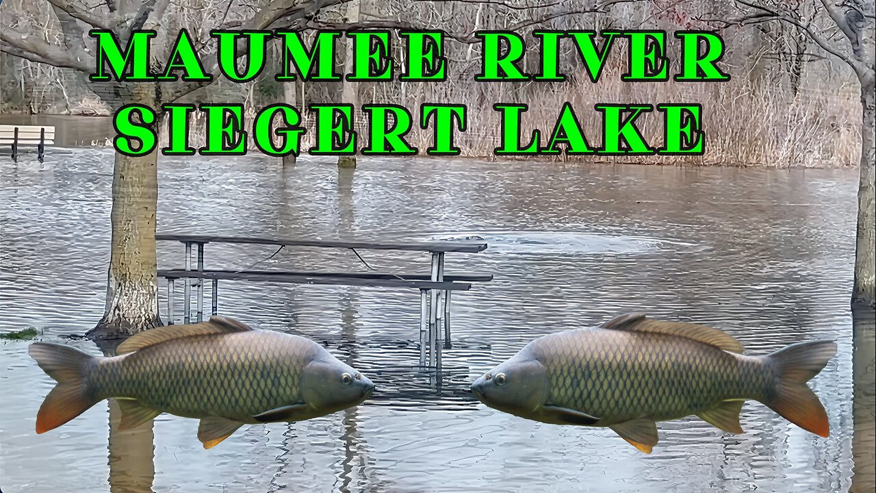 Maumee River Flooding of Siegert Lake