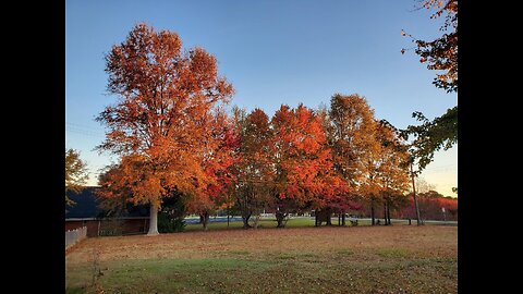 Autumn's Ending 2025