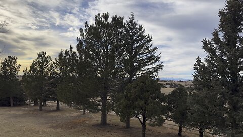 A amazing day outside