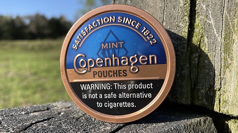 Copenhagen Mint Pouches Dip Review