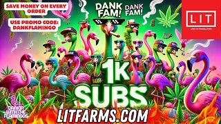 Celebrating 1,000 Subscribers with Lit Farms bud! Dankin with the Flamingos Review!!