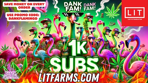 Celebrating 1,000 Subscribers with Lit Farms bud! Dankin with the Flamingos Review!!