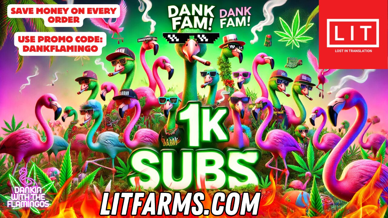 Celebrating 1,000 Subscribers with Lit Farms bud! Dankin with the Flamingos Review!!