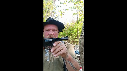 Poor man's S&W K .22