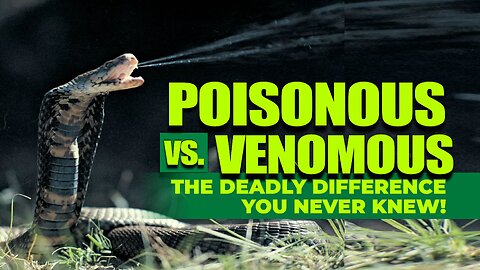 Poisonous vs. Venomous: The Deadly Difference You Never Knew