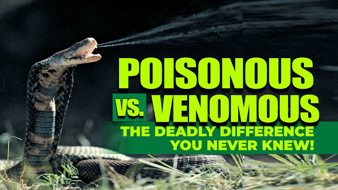 Poisonous vs. Venomous: The Deadly Difference You Never Knew