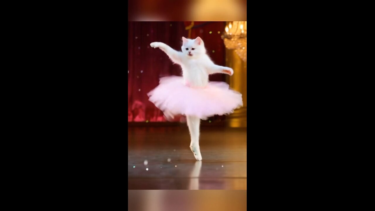 Hilarious Cat Joins Ballet Class! 😹💃✨ | Funny Shorts #cat #balletclass #ytshorts