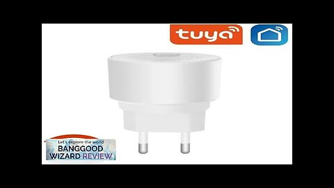 Tuya Wifi Natural Gas Sensor EU Combustible Household Smart LPG Gas Alarm Review