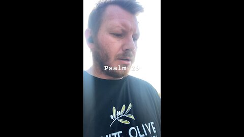 Psalm challenge day 29