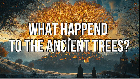 FLAT EARTH | WHAT HAPPENED TO THE ANCIENT TREES? 